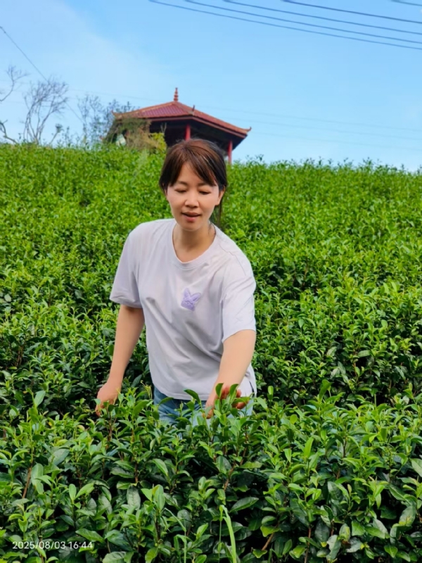 Q绮芳的第一张照片--莆田认干亲服务网